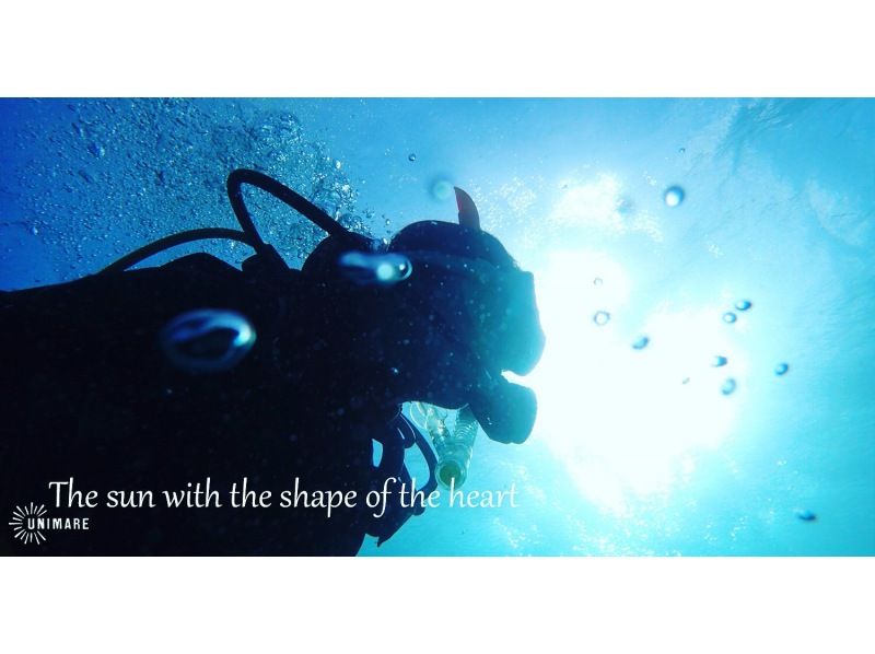 [鹿儿岛·奄美大岛】浮潜和经验深潜一日游の紹介画像