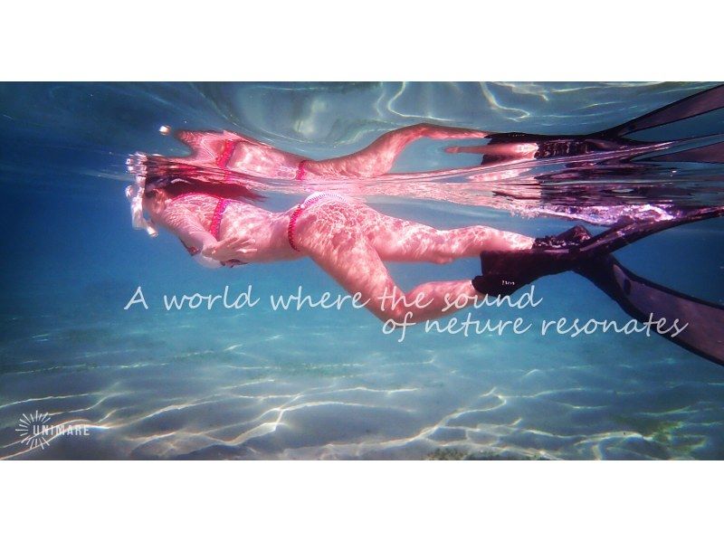 [คาโกชิมา・ Amami Oshima 】การดำน้ำตื้น(Snorkeling)& ประสบการณ์ดำน้ำทัวร์วันเดียวของの紹介画像