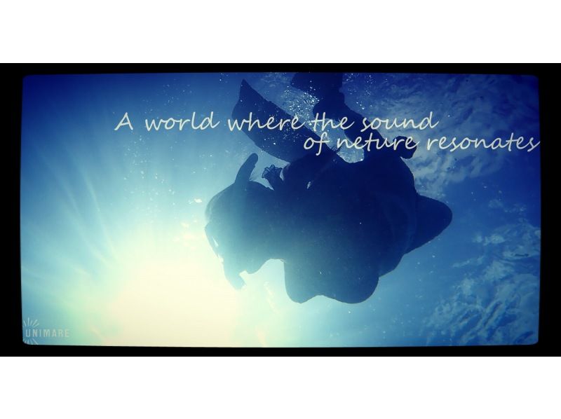 [鹿儿岛·奄美大岛】浮潜和经验深潜一日游の紹介画像