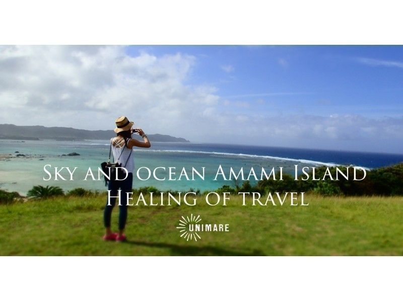 [Kagoshima ・ Amami Oshima】 1 tour limited to 1 set! "One day nature forest bathing guide" 5 tours availableの紹介画像