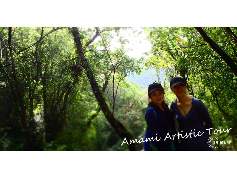 [Northern and central areas of Amami Oshima] Amami Oshima sightseeing = 1-day land tour course 4 plans to choose from = (private / group discount)の紹介画像