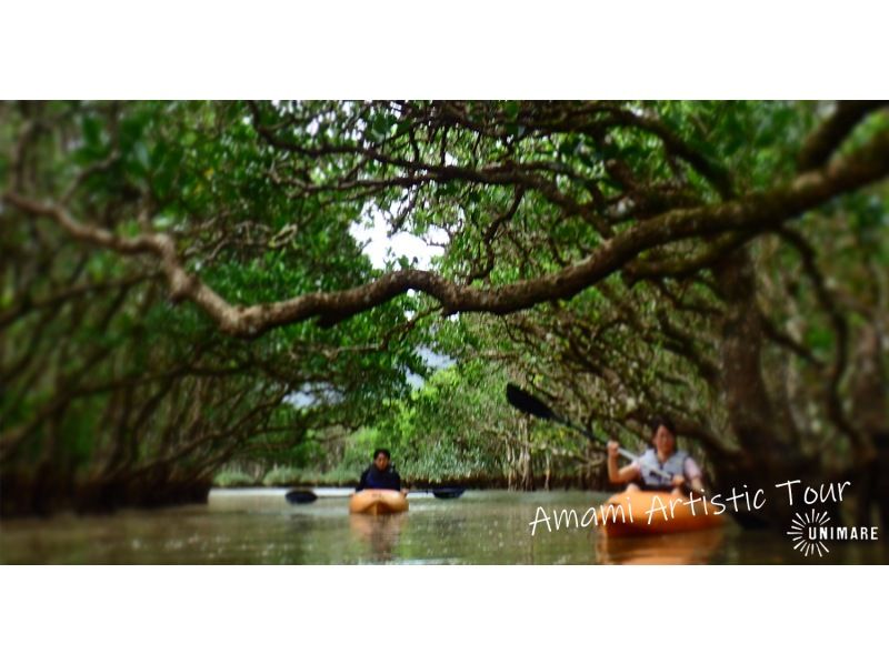 [Northern and central areas of Amami Oshima] Amami Oshima sightseeing = 1-day land tour course 4 plans to choose from = (private / group discount)の紹介画像