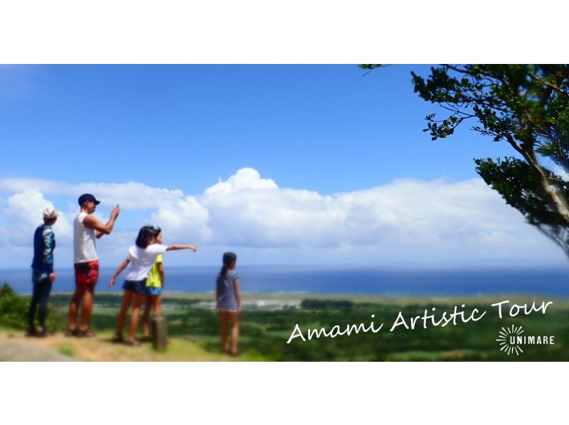 [Northern and central areas of Amami Oshima] Amami Oshima sightseeing = 1-day land tour course 4 plans to choose from = (private / group discount)の紹介画像