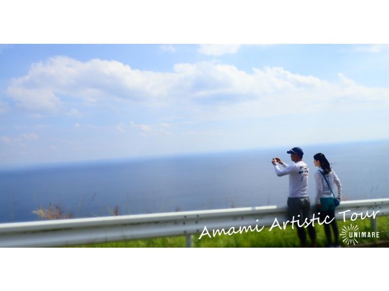 [Northern and central areas of Amami Oshima] Amami Oshima sightseeing = 1-day land tour course 4 plans to choose from = (private / group discount)の紹介画像