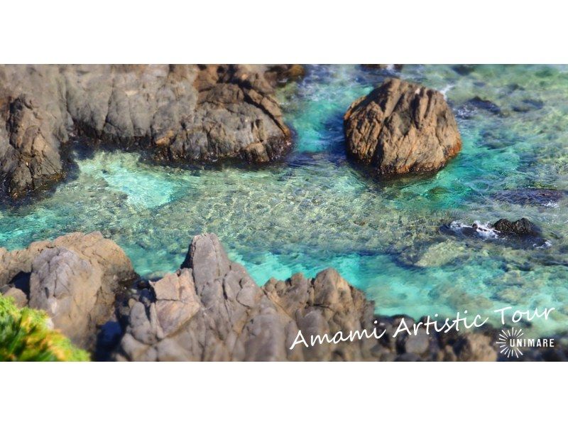 [Northern and central areas of Amami Oshima] Amami Oshima sightseeing = 1-day land tour course 4 plans to choose from = (private / group discount)の紹介画像