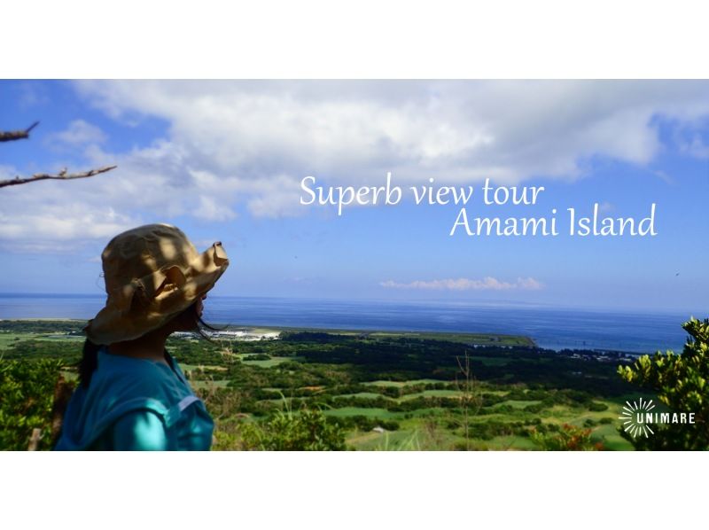 [Northern and central areas of Amami Oshima] Amami Oshima sightseeing = 1-day land tour course 4 plans to choose from = (private / group discount)の紹介画像