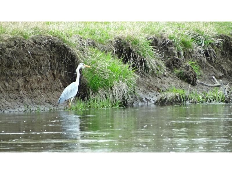 【北海道・釧路湿原】カヌーで大きく深呼吸?!?!   秋&春限定『釧路湿原ネイチャーカヌー』の紹介画像