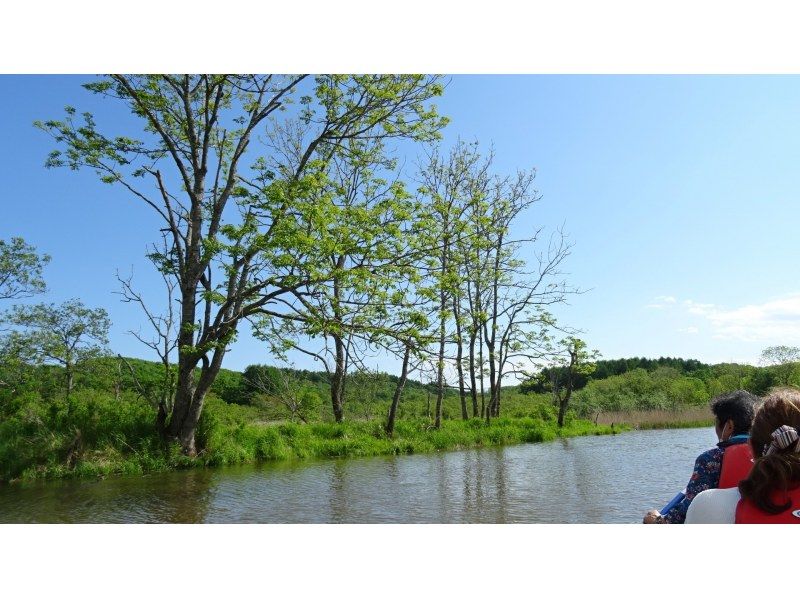 【北海道・釧路湿原】カヌーで大きく深呼吸?!?!   秋&春限定『釧路湿原ネイチャーカヌー』の紹介画像