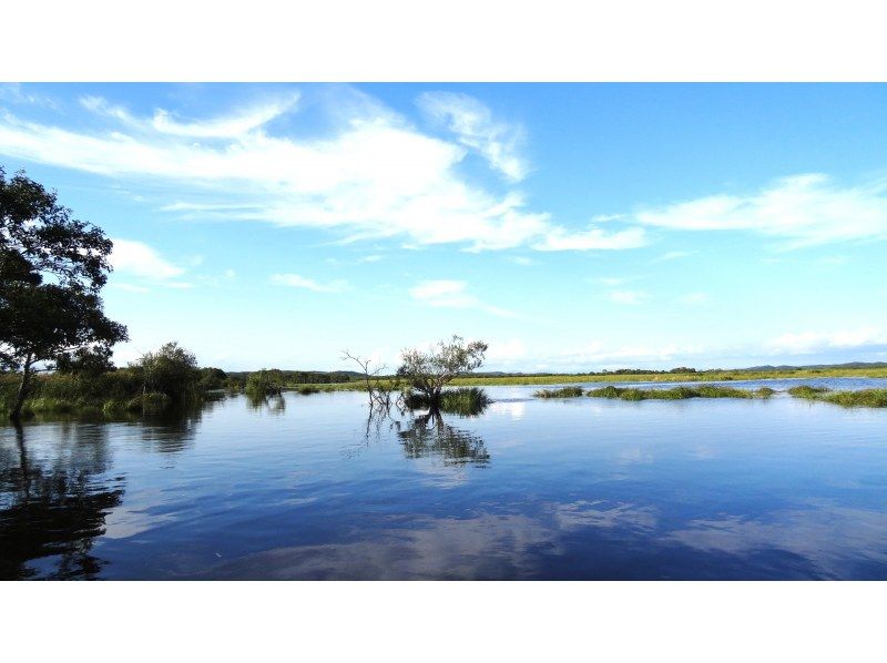 【北海道・釧路湿原・釧路川】少し遅めの出発！昼どきカヌー体験の紹介画像