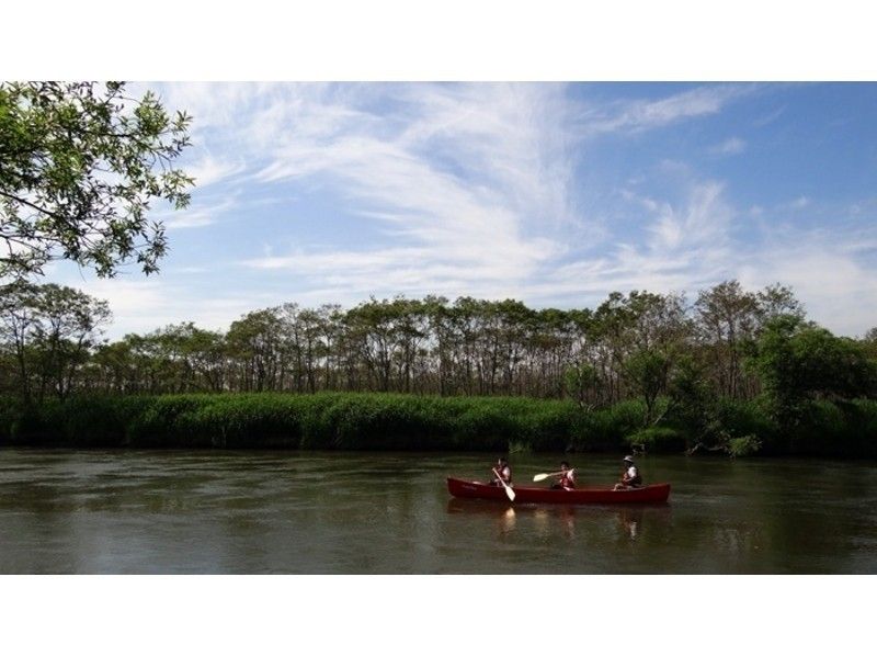 [北海道·釧路沼澤·釧路河]下午悠閒地度過！下午劃獨木舟體驗の紹介画像