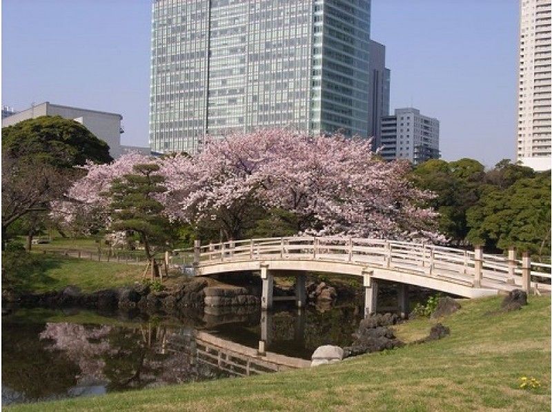 <2018お花見>春の隅田川お花見クルーズ&浜離宮恩賜庭園桜散策&にぎり寿司ランチ【11493】の紹介画像