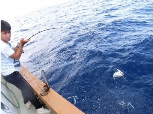 船で４０分ほどのパヤオで釣りを体験できるメニュー ジギングやトローリングで マグロやカツオ シーラなどを狙います 強烈な引きを体験しましょう 気軽に 手ぶらで参加okです