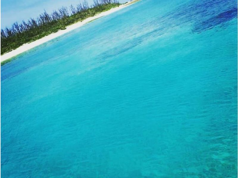 오키나와 &middot; 미나미 섬 【E 플랜 ◆ 당일치기 해수욕】 미나미 섬 왕복 승선권 & 점심 & 파라솔 1 개 포함! !の紹介画像