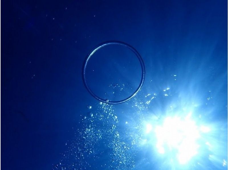 오키나와 &middot; 미나미 섬 【E 플랜 ◆ 당일치기 해수욕】 미나미 섬 왕복 승선권 & 점심 & 파라솔 1 개 포함! !の紹介画像