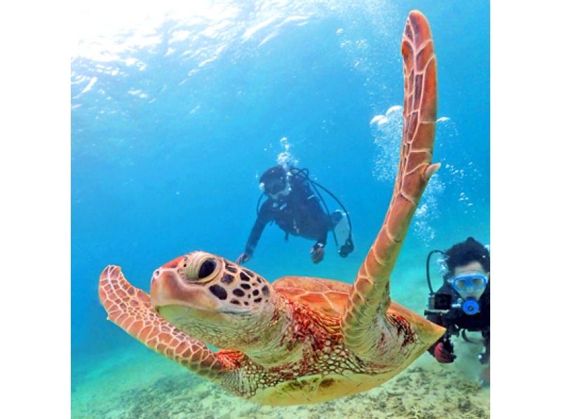 Miyakojima Beach Rental Experience diving Rental Equipment & GoPro Free Rental! !の紹介画像