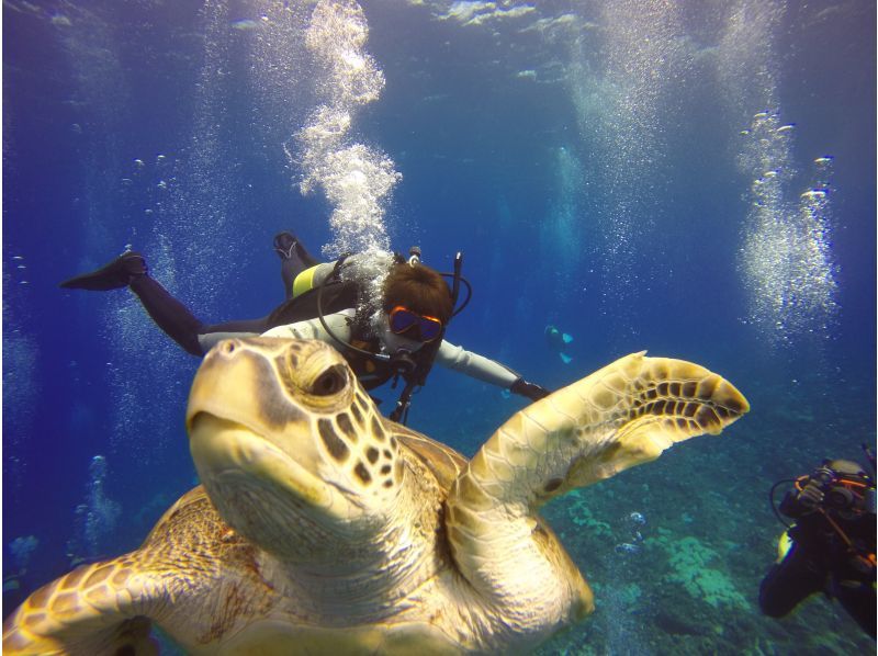 Miyakojima Beach Rental Experience diving Rental Equipment & GoPro Free Rental! !の紹介画像