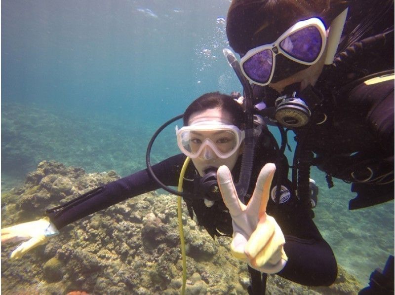 Miyakojima beach charter fan Diving GoPro free Rental! !の紹介画像
