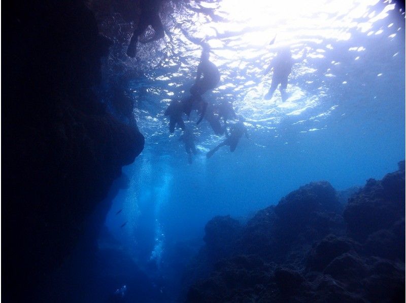 [如果沒有樂趣，那就沒有意義了動畫射擊和餵食都是免費的！ ！ ]憲章藍洞穴海灘浮潛の紹介画像