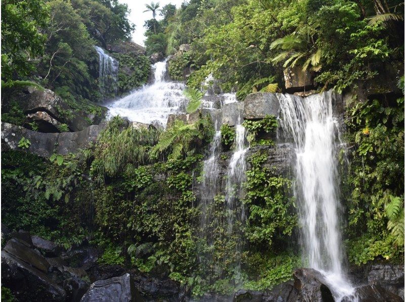 【西表島/１日】マングローブSUP＋奥ゲーダ滝トレッキング(石垣日帰りOK/シャワー/写真データ/お茶無料)西表島アドベンチャーウェルネスの紹介画像