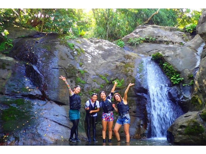 [Okinawa, Iriomote Island] 1 day topical mangrove SUP and waterfall trekking! free photo data!