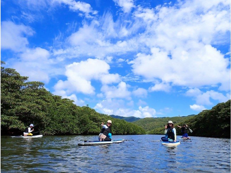 【西表島/１日】マングローブSUP＋奥ゲーダ滝トレッキング(石垣日帰りOK/シャワー/写真データ/お茶無料)西表島アドベンチャーウェルネスの紹介画像