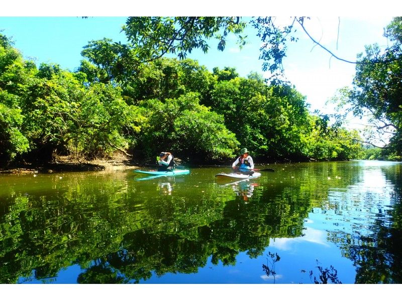 [Okinawa, Iriomote Island] 1 day topical mangrove SUP and waterfall trekking! free photo data!