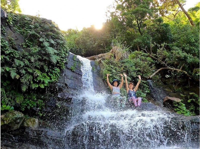 【西表島/１日】マングローブSUP＋奥ゲーダ滝トレッキング(石垣日帰りOK/シャワー/写真データ/お茶無料)西表島アドベンチャーウェルネスの紹介画像