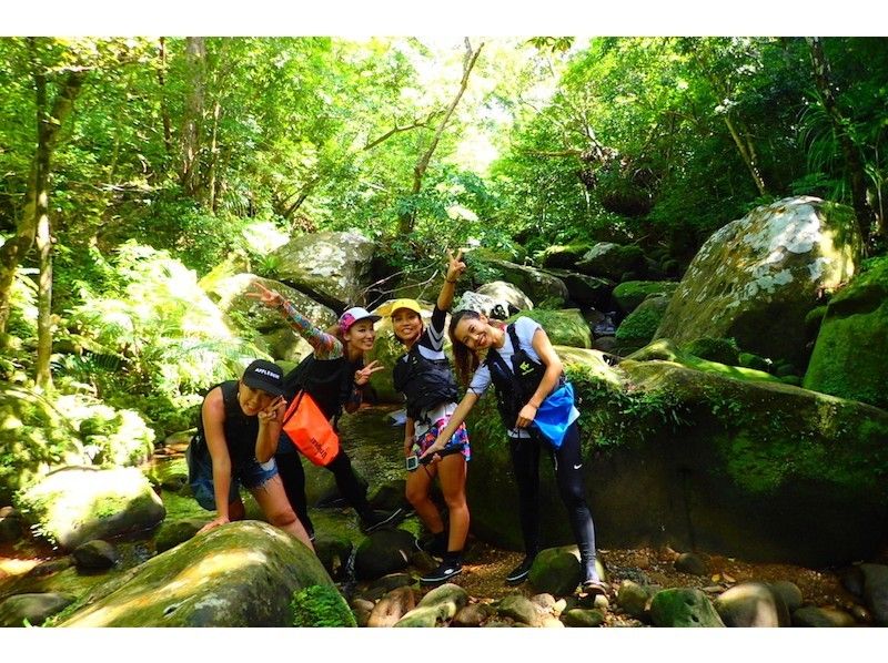 [Okinawa, Iriomote Island] 1 day topical mangrove SUP and waterfall trekking! free photo data!