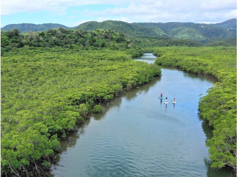 【西表島/１日】マングローブSUP＋奥ゲーダ滝トレッキング(石垣日帰りOK/シャワー/写真データ/お茶無料)西表島アドベンチャーウェルネスの紹介画像