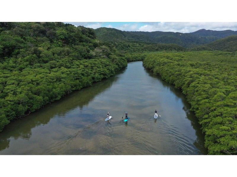 [Okinawa, Iriomote Island] 1 day topical mangrove SUP and waterfall trekking! free photo data!