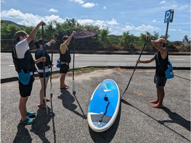 【西表島/１日】マングローブSUP＋奥ゲーダ滝トレッキング(石垣日帰りOK/シャワー/写真データ/お茶無料)西表島アドベンチャーウェルネスの紹介画像