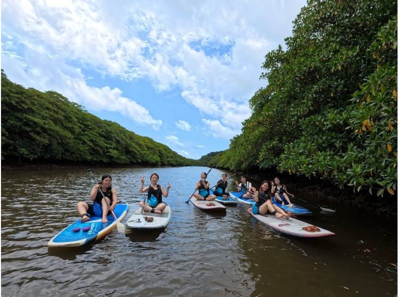 【西表島/１日】マングローブSUP＋奥ゲーダ滝トレッキング(石垣日帰りOK/シャワー/写真データ/お茶無料)西表島アドベンチャーウェルネスの紹介画像
