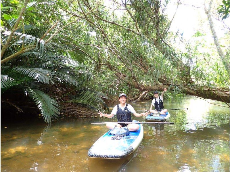【西表島/１日】マングローブSUP＋奥ゲーダ滝トレッキング(石垣日帰りOK/シャワー/写真データ/お茶無料)西表島アドベンチャーウェルネスの紹介画像