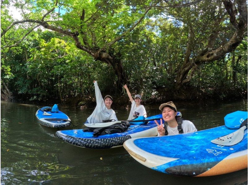 【西表島／由布島】SUP＆日帰り離島ツアー｜認定ガイドと行く世界自然遺産SUP ＆ 水牛車で渡る由布島の島時間旅(写真データ付)の紹介画像