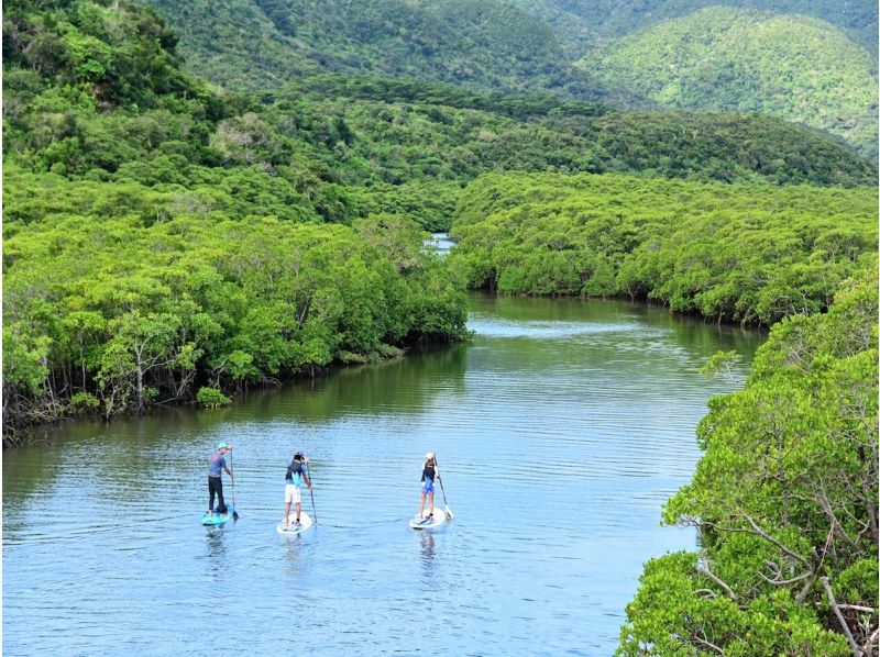 【西表島／由布島】SUP＆日帰り離島ツアー｜認定ガイドと行く世界自然遺産SUP ＆ 水牛車で渡る由布島の島時間旅(写真データ付)の紹介画像