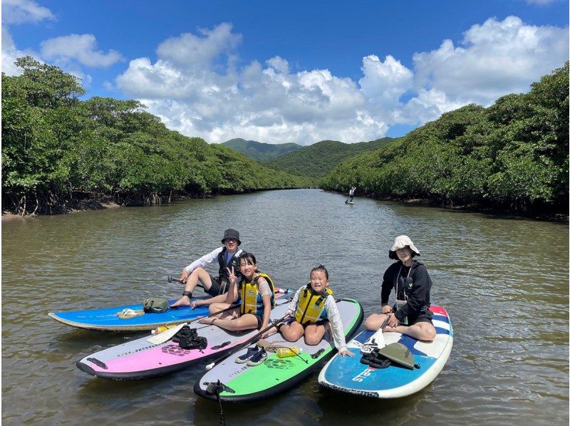 【西表島／由布島】SUP＆日帰り離島ツアー｜認定ガイドと行く世界自然遺産SUP ＆ 水牛車で渡る由布島の島時間旅(写真データ付)の紹介画像