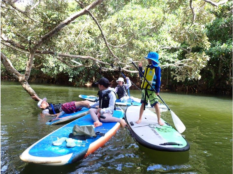 【西表島／由布島】SUP＆日帰り離島ツアー｜認定ガイドと行く世界自然遺産SUP ＆ 水牛車で渡る由布島の島時間旅(写真データ付)の紹介画像