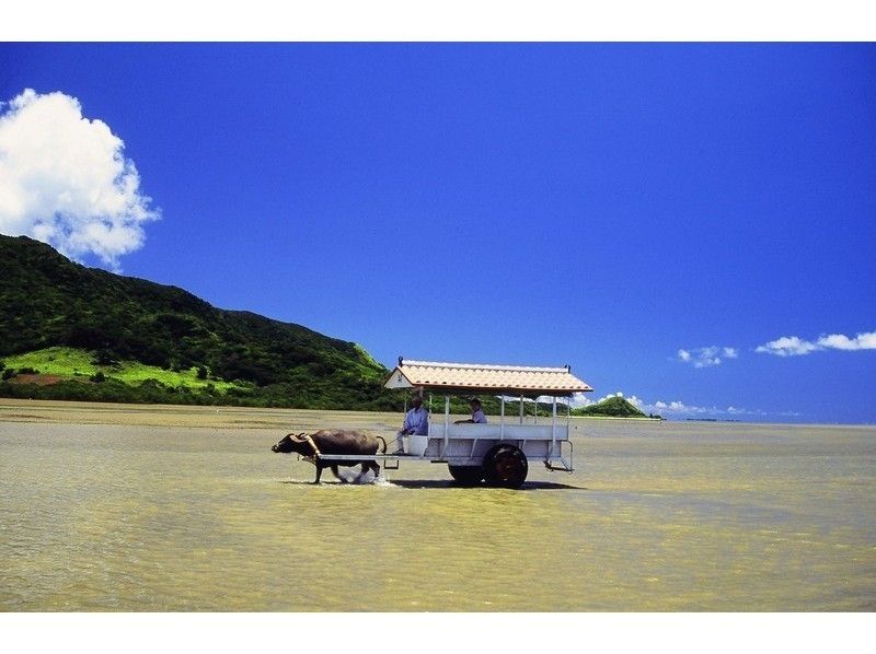 [Iriomote Island] [1 day] SUP and Yufu Island sightseeing (with Ticket) [free photo data] SUP cruise to the unexplored jungle and popular Yufu Island sightseeing set!の紹介画像