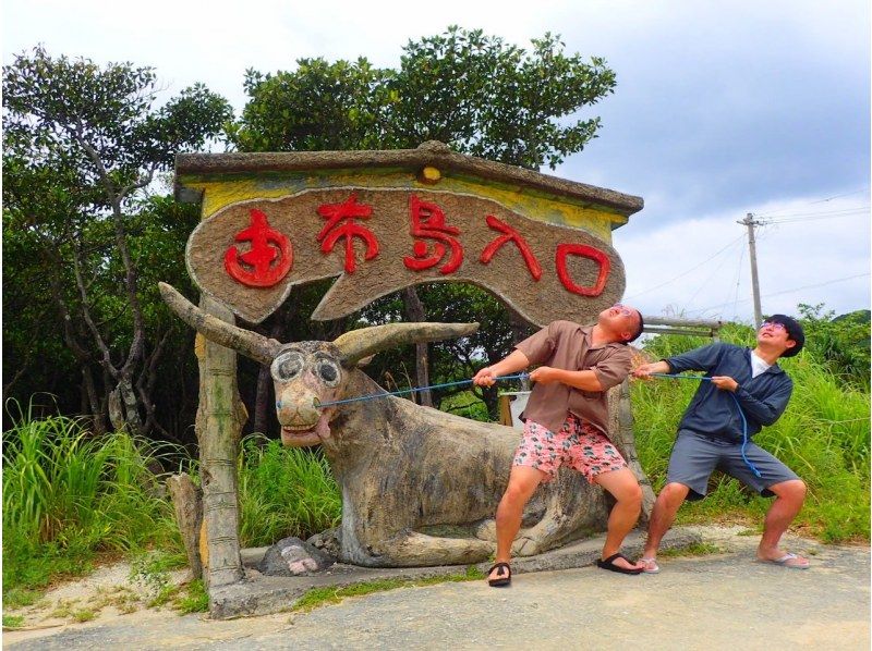 【西表島／由布島】SUP＆日帰り離島ツアー｜認定ガイドと行く世界自然遺産SUP ＆ 水牛車で渡る由布島の島時間旅(写真データ付)の紹介画像