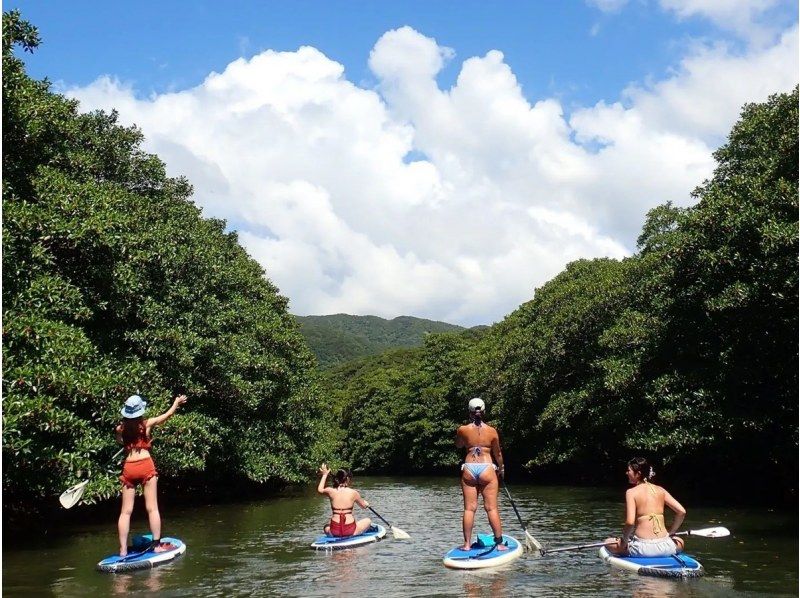 【西表島／由布島】SUP＆日帰り離島ツアー｜認定ガイドと行く世界自然遺産SUP ＆ 水牛車で渡る由布島の島時間旅(写真データ付)の紹介画像