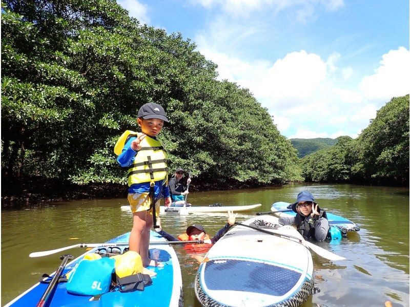 【西表島／由布島】SUP＆日帰り離島ツアー｜認定ガイドと行く世界自然遺産SUP ＆ 水牛車で渡る由布島の島時間旅(写真データ付)の紹介画像