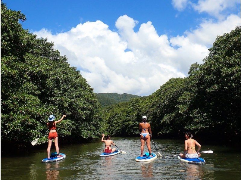 【西表島／由布島】SUP＆日帰り離島ツアー｜認定ガイドと行く世界自然遺産SUP ＆ 水牛車で渡る由布島の島時間旅(写真データ付)の紹介画像