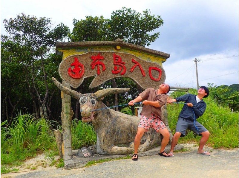 【西表島／由布島】SUP＆日帰り離島ツアー｜認定ガイドと行く世界自然遺産SUP ＆ 水牛車で渡る由布島の島時間旅(写真データ付)の紹介画像