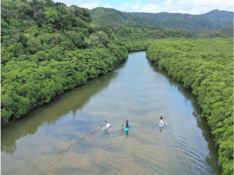 【西表島／由布島】SUP＆日帰り離島ツアー｜認定ガイドと行く世界自然遺産SUP ＆ 水牛車で渡る由布島の島時間旅(写真データ付)の紹介画像