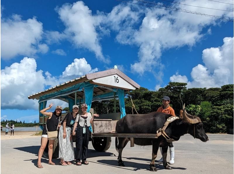 【西表島／由布島】SUP＆日帰り離島ツアー｜認定ガイドと行く世界自然遺産SUP ＆ 水牛車で渡る由布島の島時間旅(写真データ付)の紹介画像