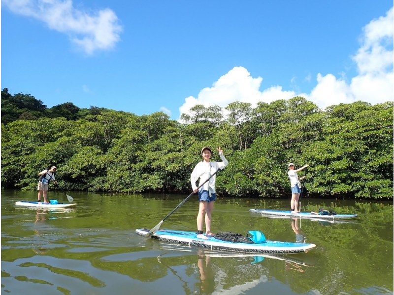 【西表島／半日】「島の認定ガイド」と行くジャングルSUP｜世界自然遺産のマングローブ探検（石垣島日帰りOK／写真・動画データ付）の紹介画像