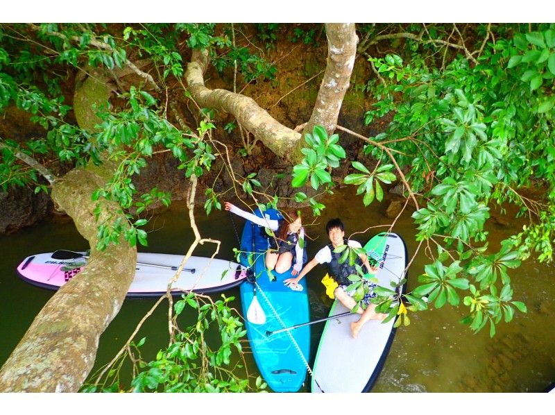 [Iriomote Island] [half-day] A great adventure with SUP from Japan's largest mangrove to a mysterious jungle! [free photo data] Recommended for couples, Female and families!の紹介画像