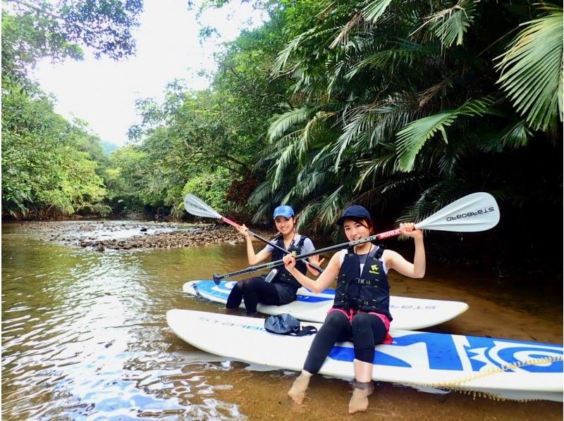 [Iriomote Island] [half-day] A great adventure with SUP from Japan's largest mangrove to a mysterious jungle! [free photo data] Recommended for couples, Female and families!の紹介画像