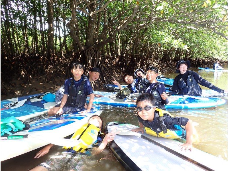 【西表島／半日】「島の認定ガイド」と行くジャングルSUP｜世界自然遺産のマングローブ探検（石垣島日帰りOK／写真・動画データ付）の紹介画像