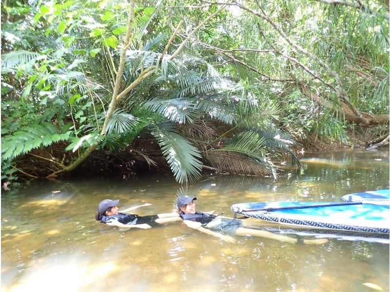 【西表島／半日】「島の認定ガイド」と行くジャングルSUP｜世界自然遺産のマングローブ探検（石垣島日帰りOK／写真・動画データ付）の紹介画像